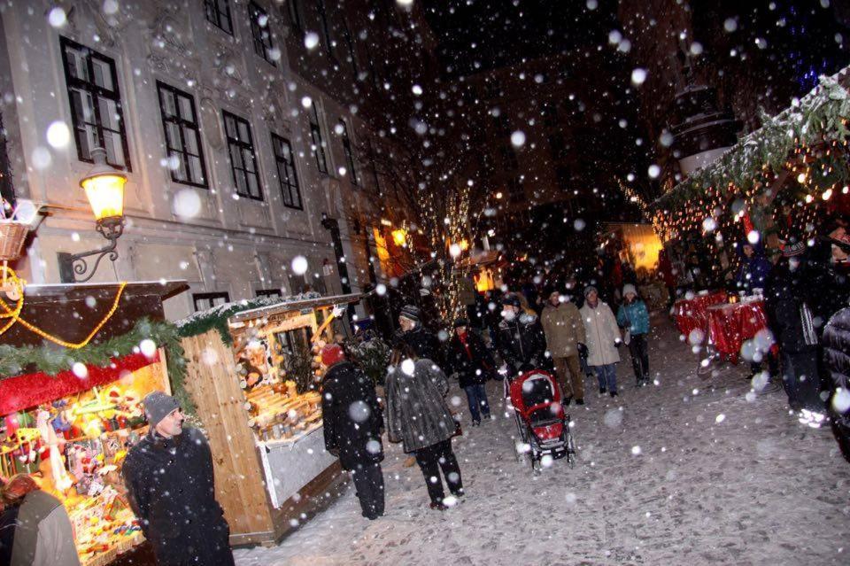 Hospedagem domiciliar City And Viena
